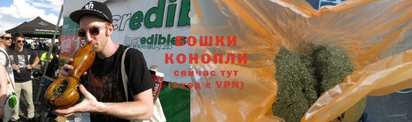 ГАЛЛЮЦИНОГЕННЫЕ ГРИБЫ Кодинск