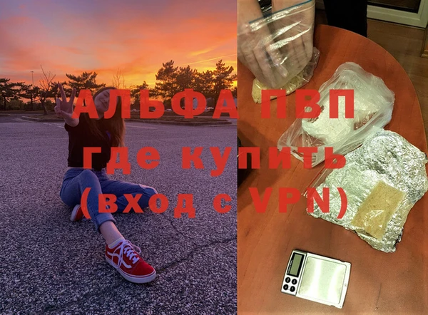 ГАЛЛЮЦИНОГЕННЫЕ ГРИБЫ Кодинск
