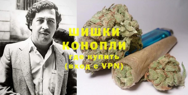 ГАЛЛЮЦИНОГЕННЫЕ ГРИБЫ Кодинск