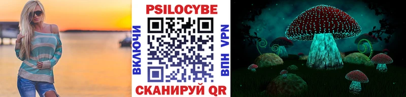 Купить где  Ипатово  Галлюциногенные грибы Psilocybe 