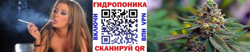 Конопля SATIVA & INDICA  Купить  Ипатово 